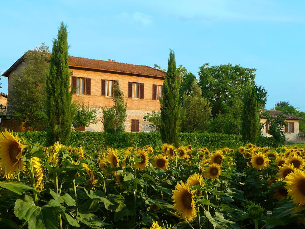 Agriturismo Santa Giuditta Sovicille Dış mekan fotoğraf